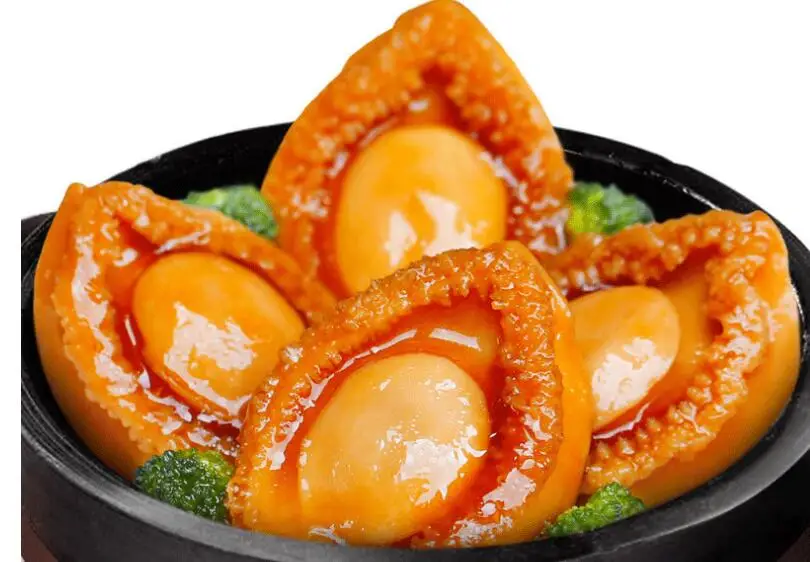 FUJIAN Sell Well New Type Wholesale Canned Seafood Canned Braised Abalone 425g/227g/170g