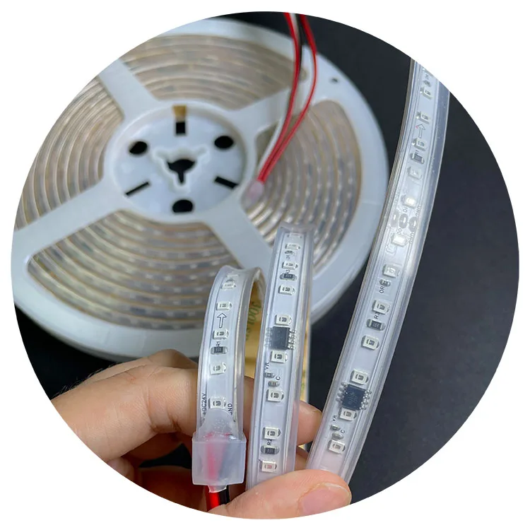 smart smd2835 120leds dc12v 1903 IC single color running water programming pixel magic blue white led strip lights
