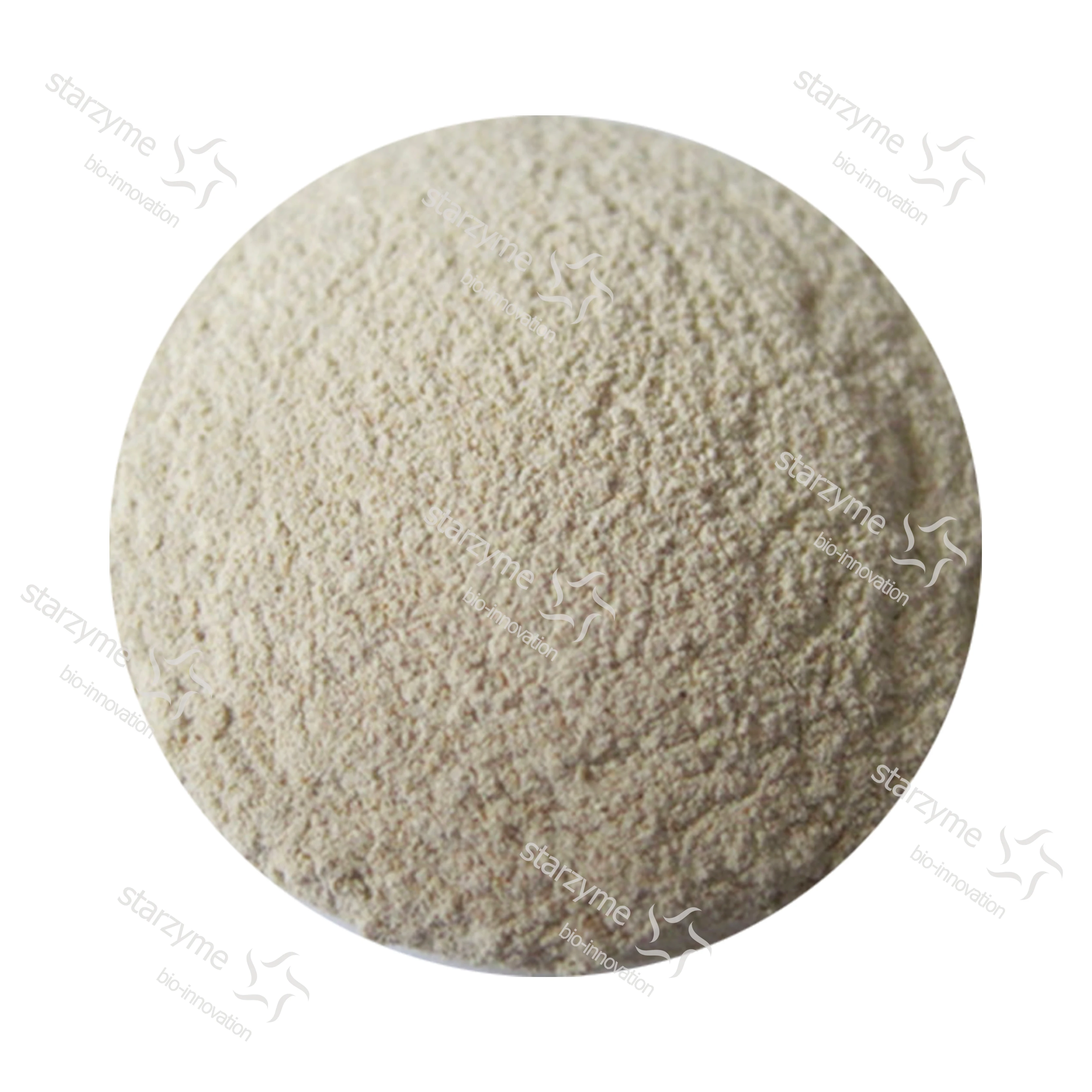 
High Concentration Xylanase Enzyme For Feed Additive Feed Grade Enzyme 
