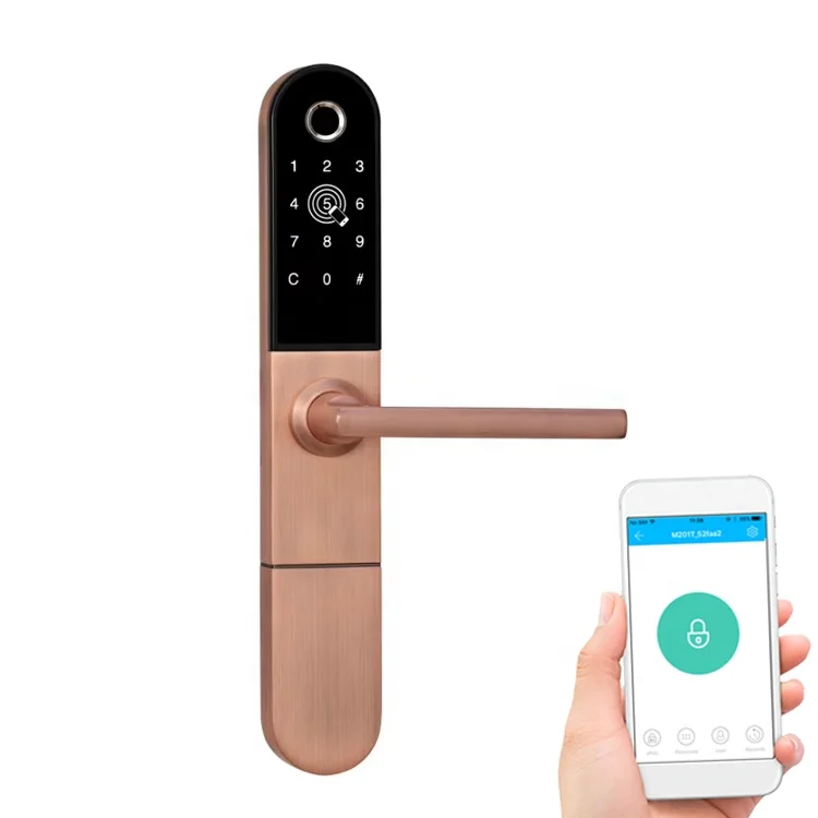 Biometric Fingerprint Identification Remote Control APP Password Electronic Door Lock For Apartment