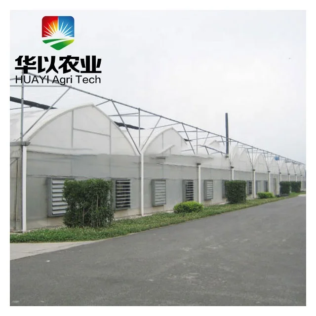 China suppliers wholesale high tunnel hot green house cheap price greenhouse
