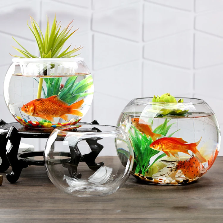 fish tanks (1).jpg