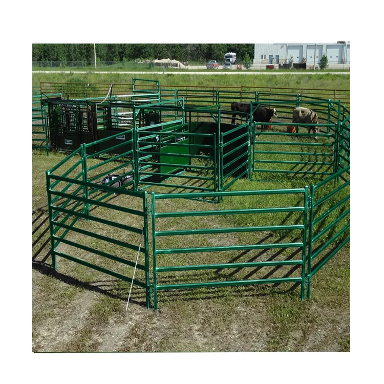 Wholesale cheap used cattle panels for sale 3x3 galvanized cattle welded wire mesh panel