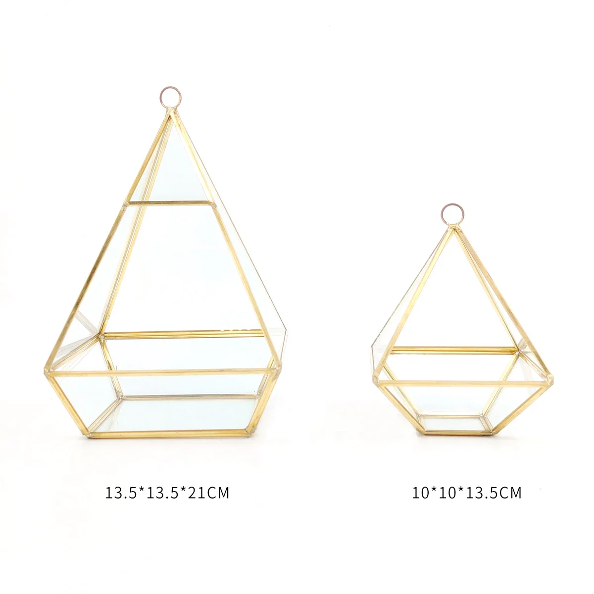 Hanging vertebral gold metal geometric glass terrarium air plants holder tabletop succulents planter box