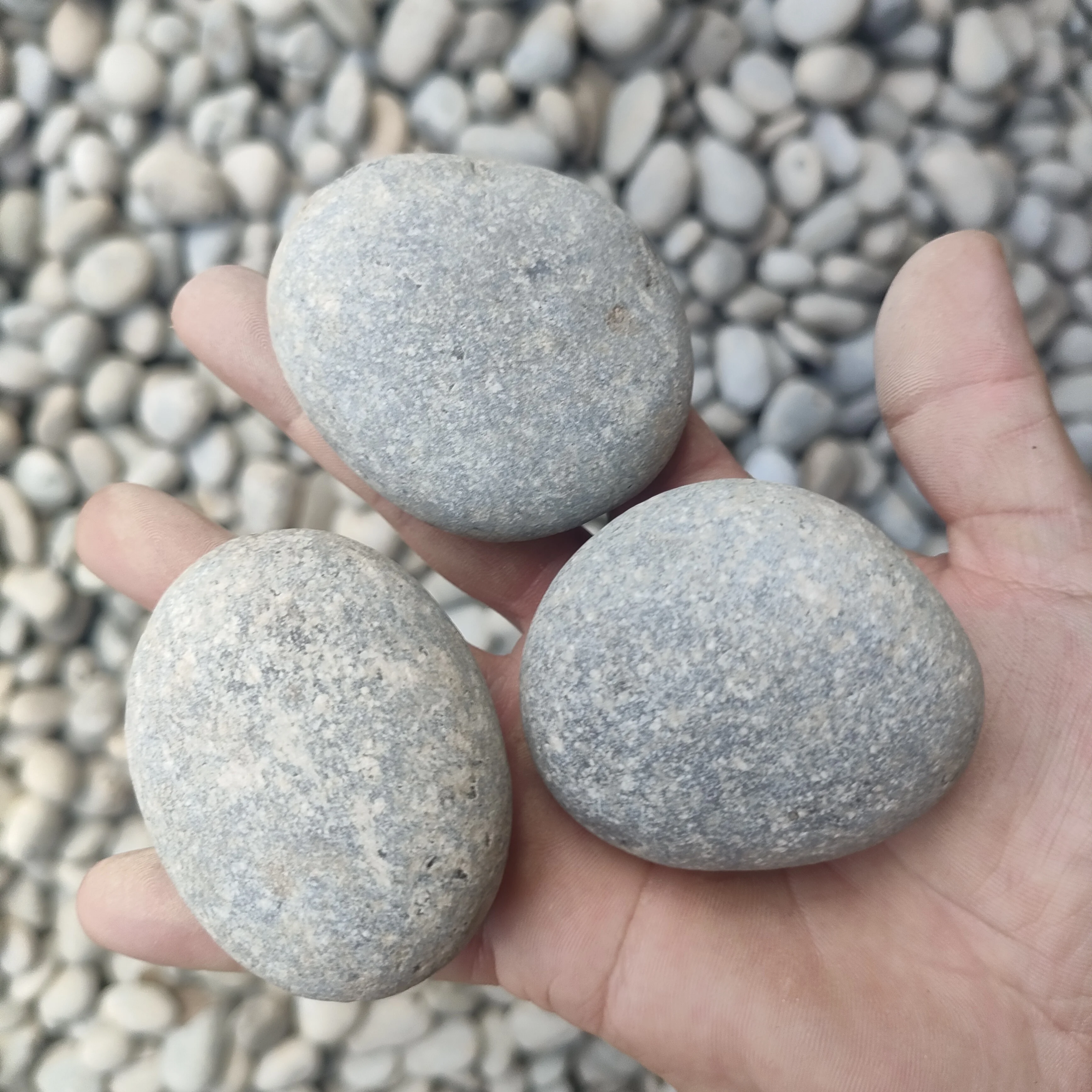 High quality 3-5cm grey cobble paving stone natural river beach pebble and cobble stone for Garden paving