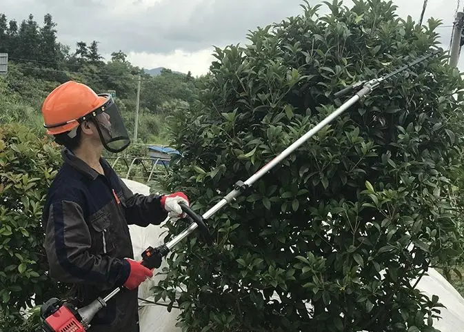 Hot Selling Garden Agricultural Household Lawn Mowerwith Sidepack Mower