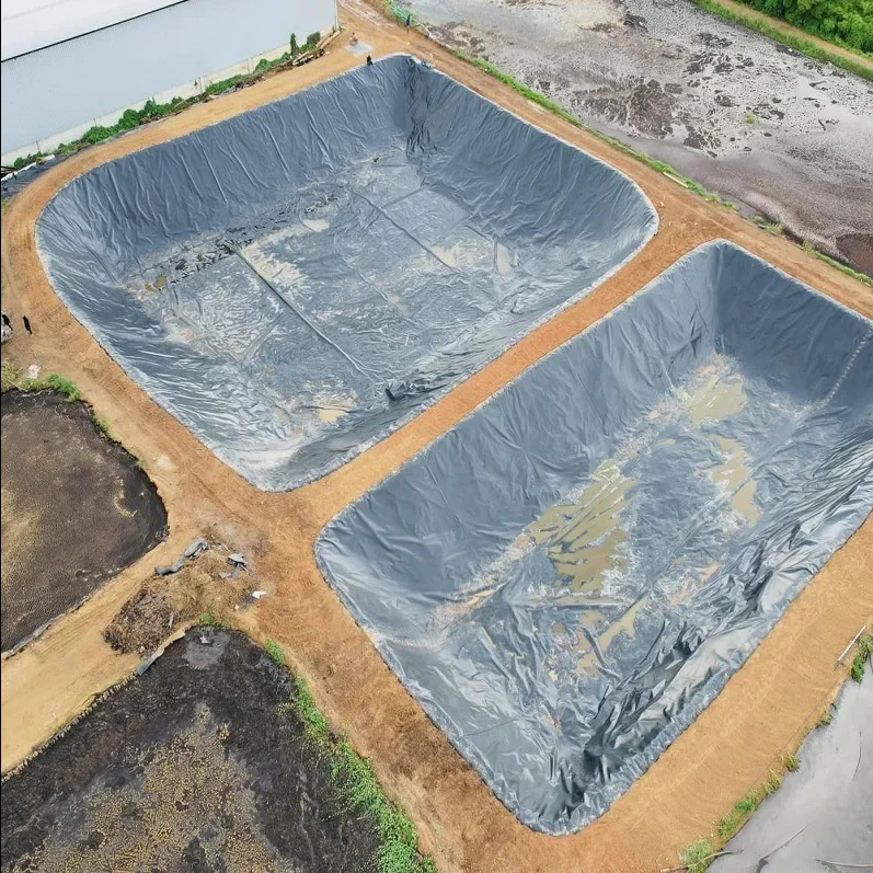 Водонепроницаемый полиэтиленовый вкладыш высокой плотности Geomembranas Hdpe подводка для пруда креветочной фермы геомембранный лист