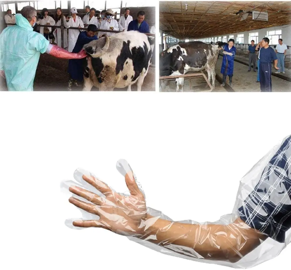 Artificial Insemination Tools Veterinary Long Touchntuff Protect ldpe Plastic Gloves Eldiven