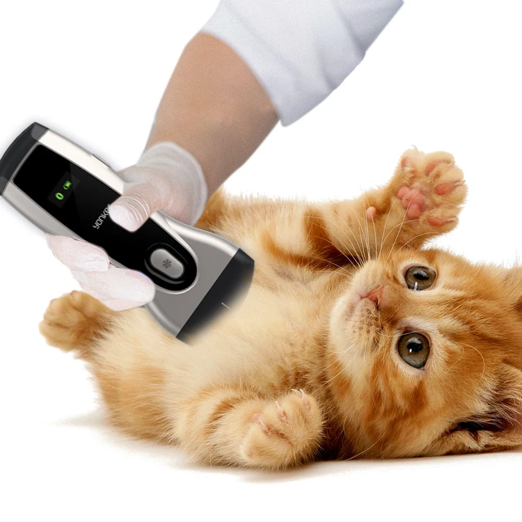 Yonker pocket veterinary ultrasound scanner portable Handheld WiFi Color wireless ultrasound probe vet for animal cat pet dog