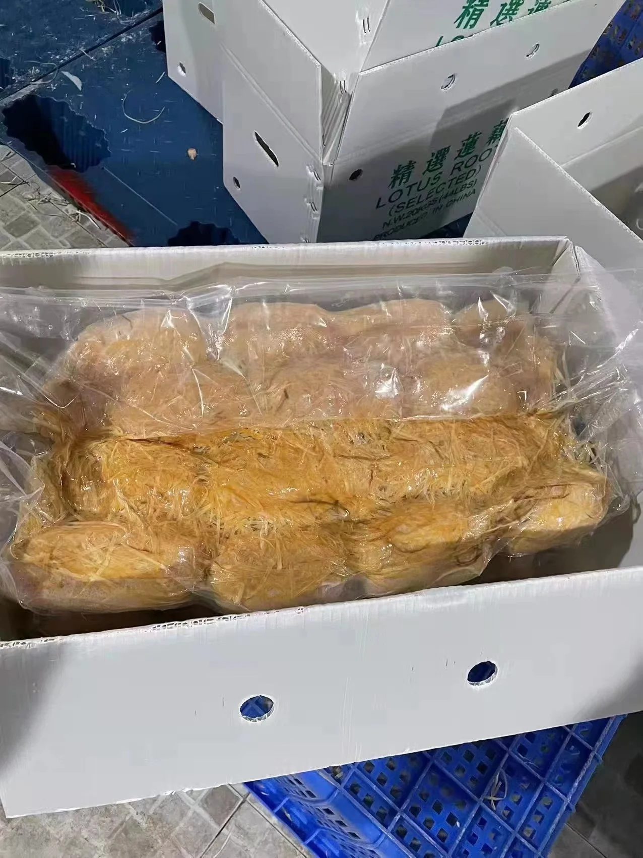 2023 autumn and winter fresh lotus root a large quantity of market powder waxy sweet