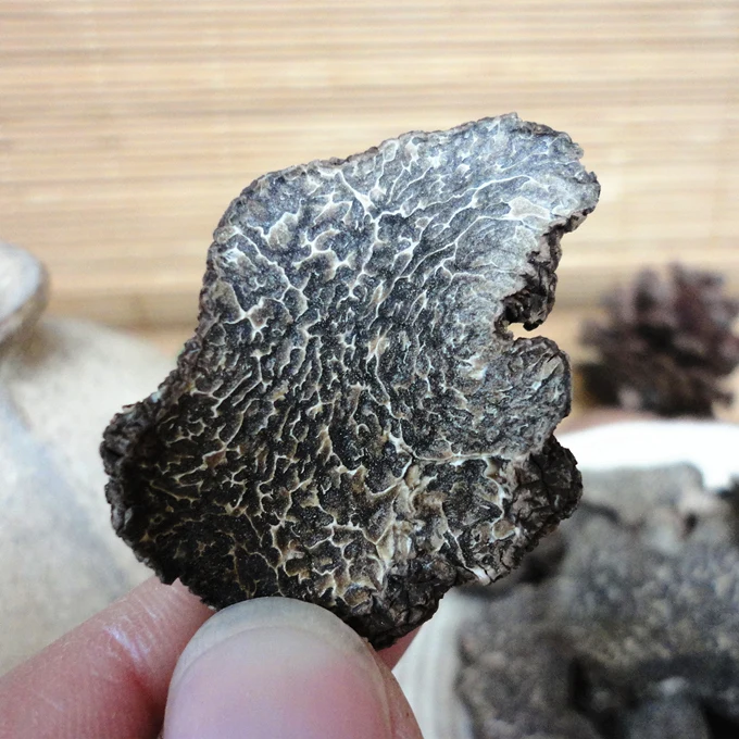 china wild truffle mushroom detan export Dried Yunnan Truffle Slices wholesale price