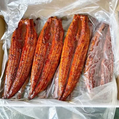 Wholesale Good Quality Bulk Seafood Smoked Fish Frozen Roasted Eel