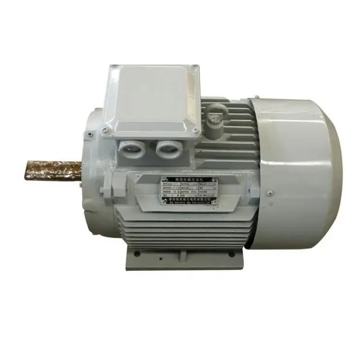 AC 3 Phase Alternator 10KW Low RPM 200 Watt Permanent Magnet Alternator Customized 350Kw Permanent Magnet Generator