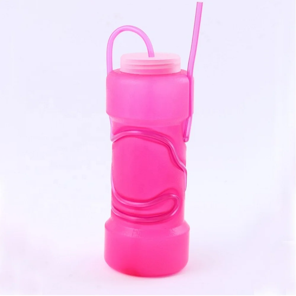 Novelty Plastic Water Bottle with Crazy Straw with Lid 201002