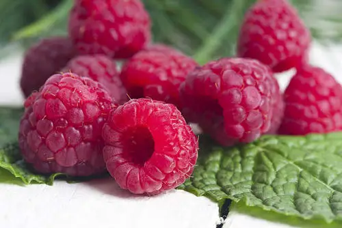 IQF Frozen Raspberries IQF Frozen Whole Red Raspberry Frozen Red Raspberries Professional Supplier