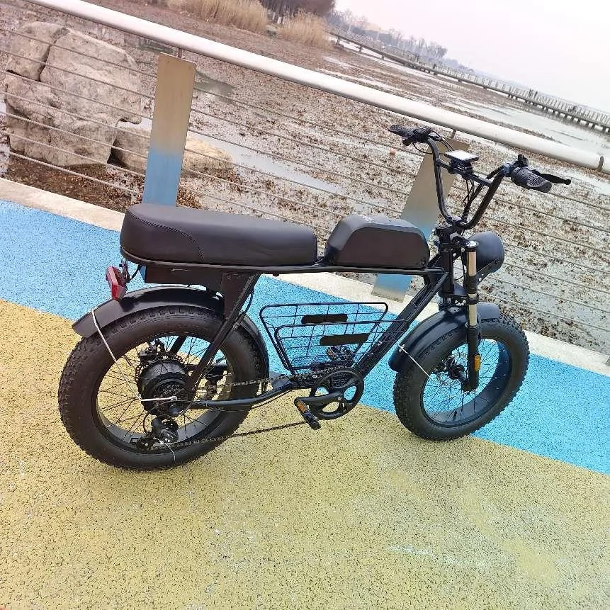 500W 750W 1000W Power 48V China Cheap Full Suspension Retro Vintage E Bike Ebike Dirt Mountain Fat Tire Bicycle Electric Bike