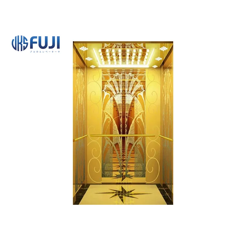 FUJI Good Price 630KG 800KG 450KG Small Apartment Lift Passenger Elevator for Homes