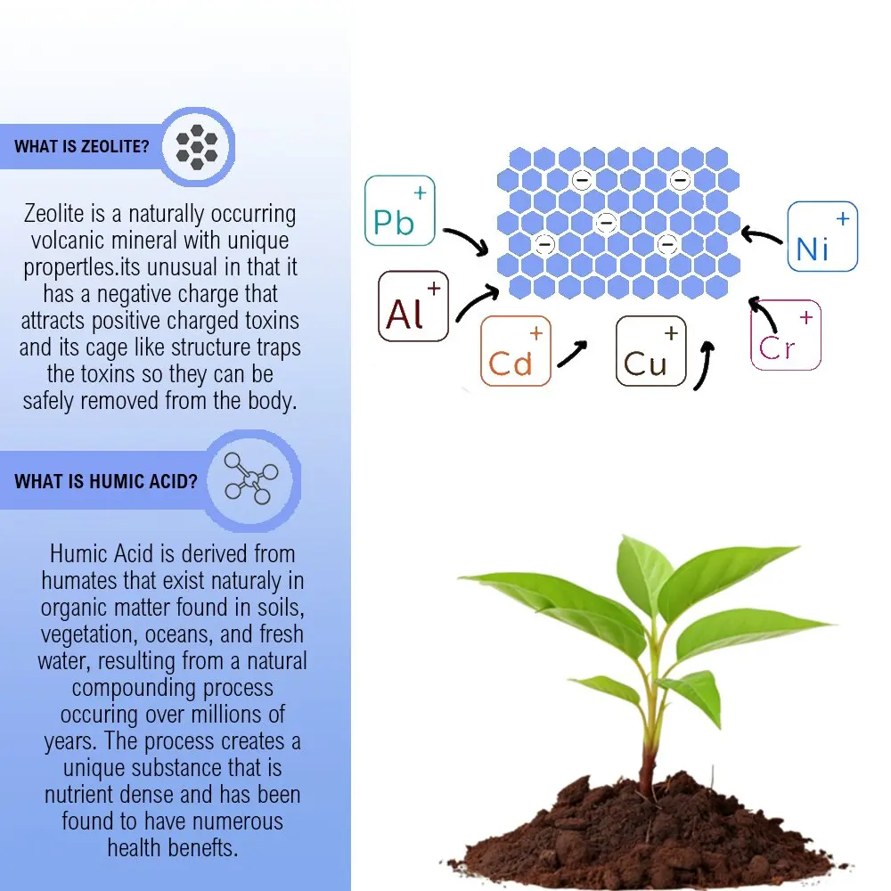 Vitahealthy factory supply Wholesale Zeolite gummies healthcare support health strength supplement Activated Zeolite gummies