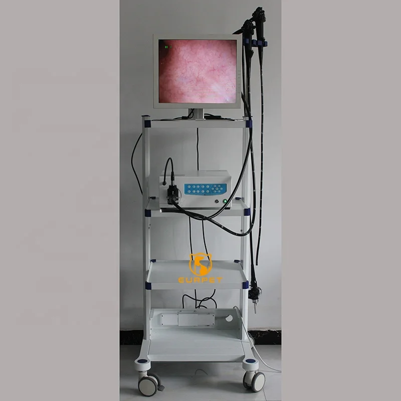 EUR PET Best Selling Veterinary Instrument Prime Veterinary Flexible Endoscope Diagnosis Gastroscope For Vet