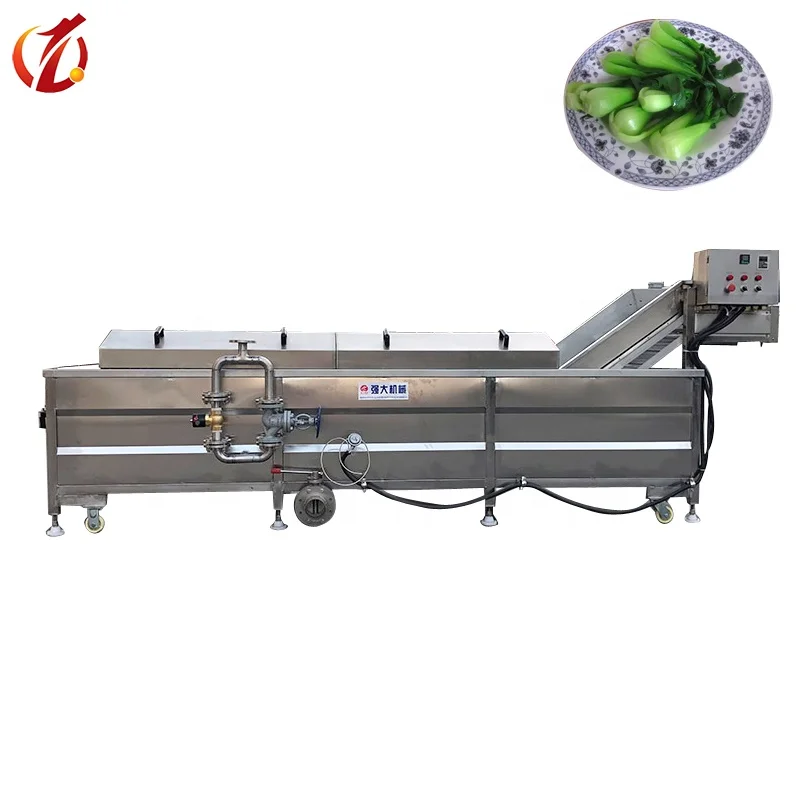 Fruit Mango Seafood Blanching Machine Vegetable Potato Processing Blanching Line