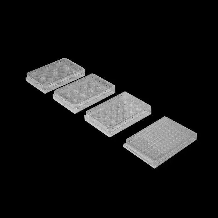 Transparent 6 12 48 96 Well Cell Plate Lab Supplies Disposable Plastic Sterile Microplate Cell Culture Plate