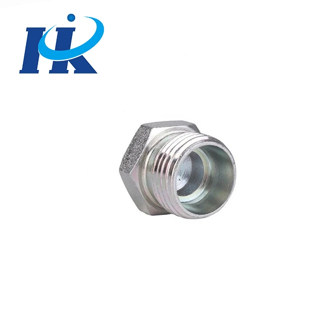 2022 Wholesale Carbon Steel Pipe Fittings Hydraulic Hex Socket Screw Hole Plug
