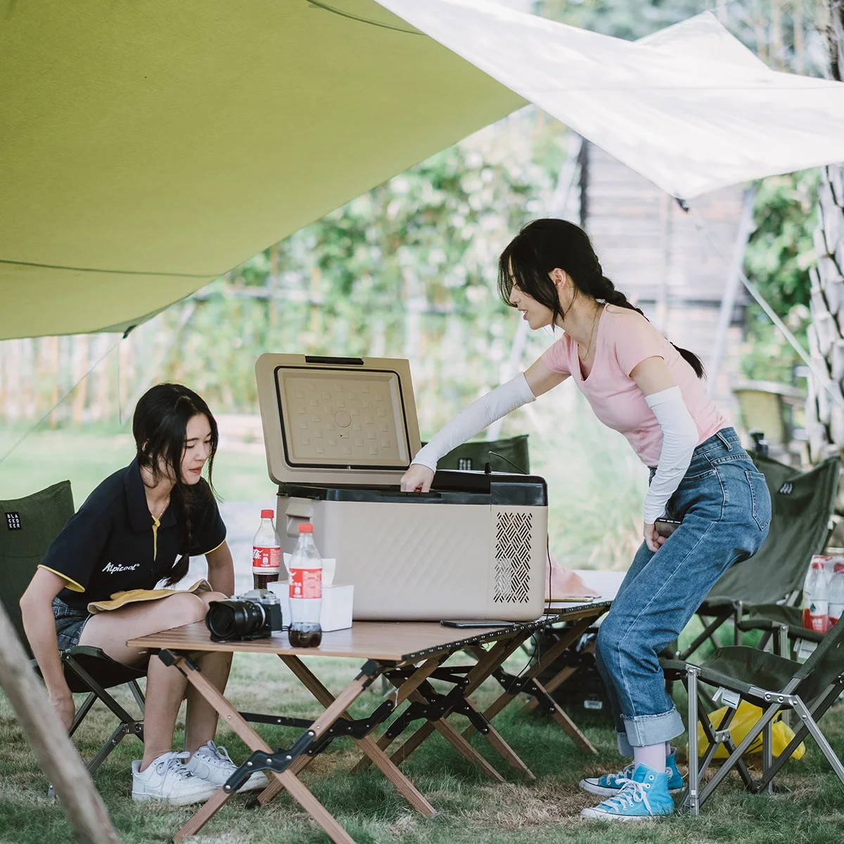 RT20 Hot sales 20l mini size car fridge 110v 12v 24v refrigerator and freezer with free customized packing