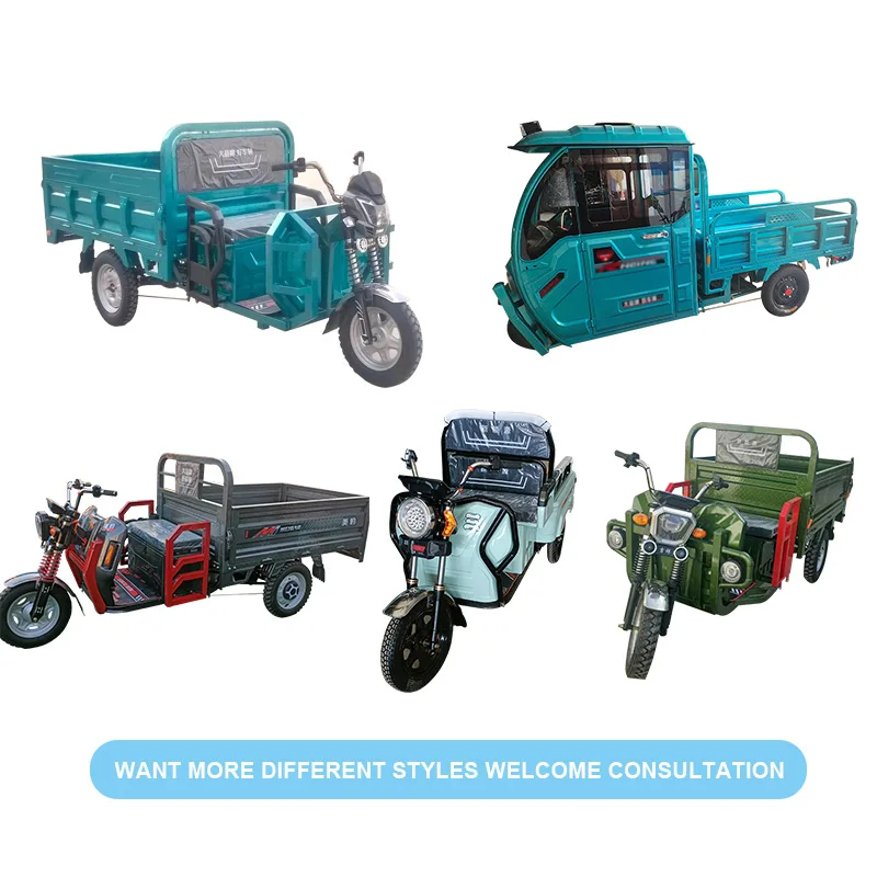 Adult Utv Recreational Vehicle Heavy Load High Speed Large Size Motor Fo Electric Cargo Tricycle