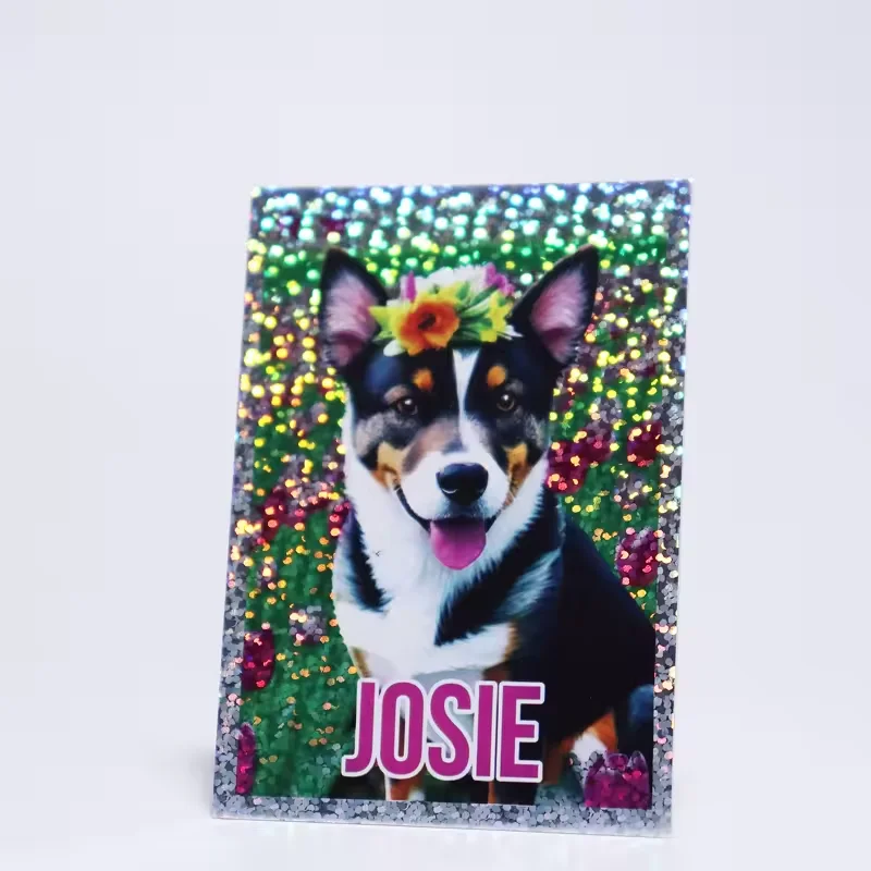 Cute Cartoon Animal Printing Customized Shiny Holographic Trading Cards