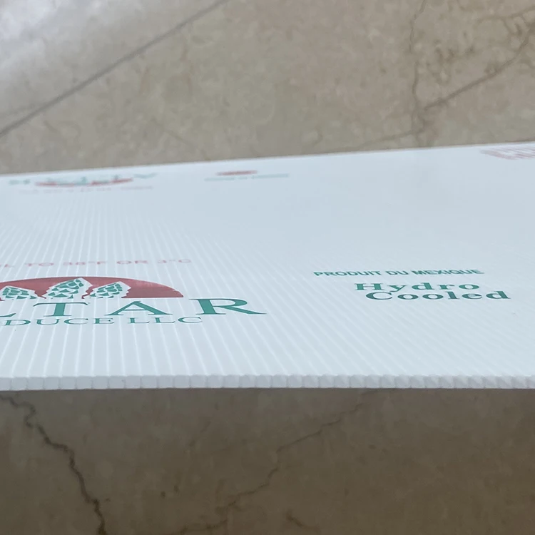 PP Plastic Packaging Box Customized Size and Logo pp Hollow Sheet Folded Boxes