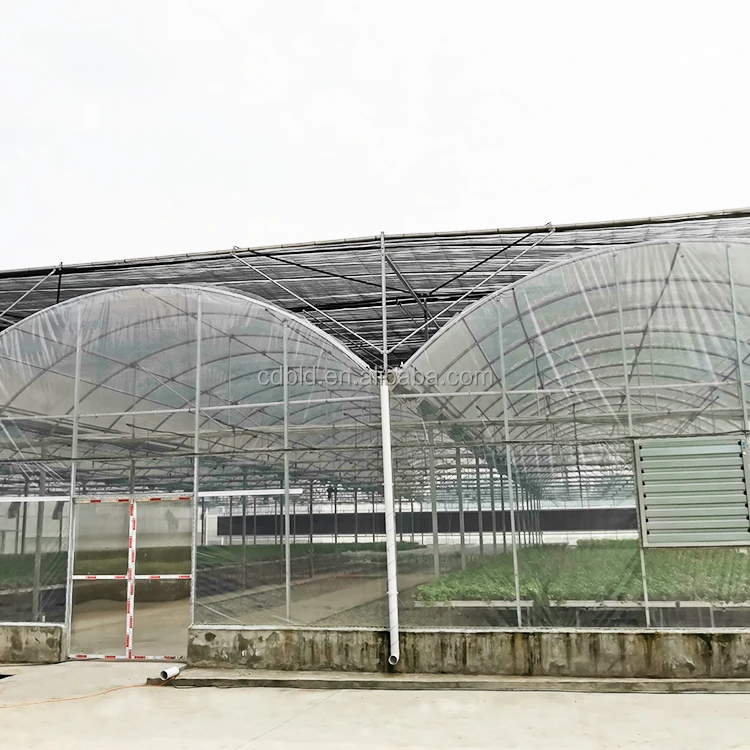 Sainpoly tomato green housed victorian turnkey greenhouses agricultural equipment for pc greenhouse
