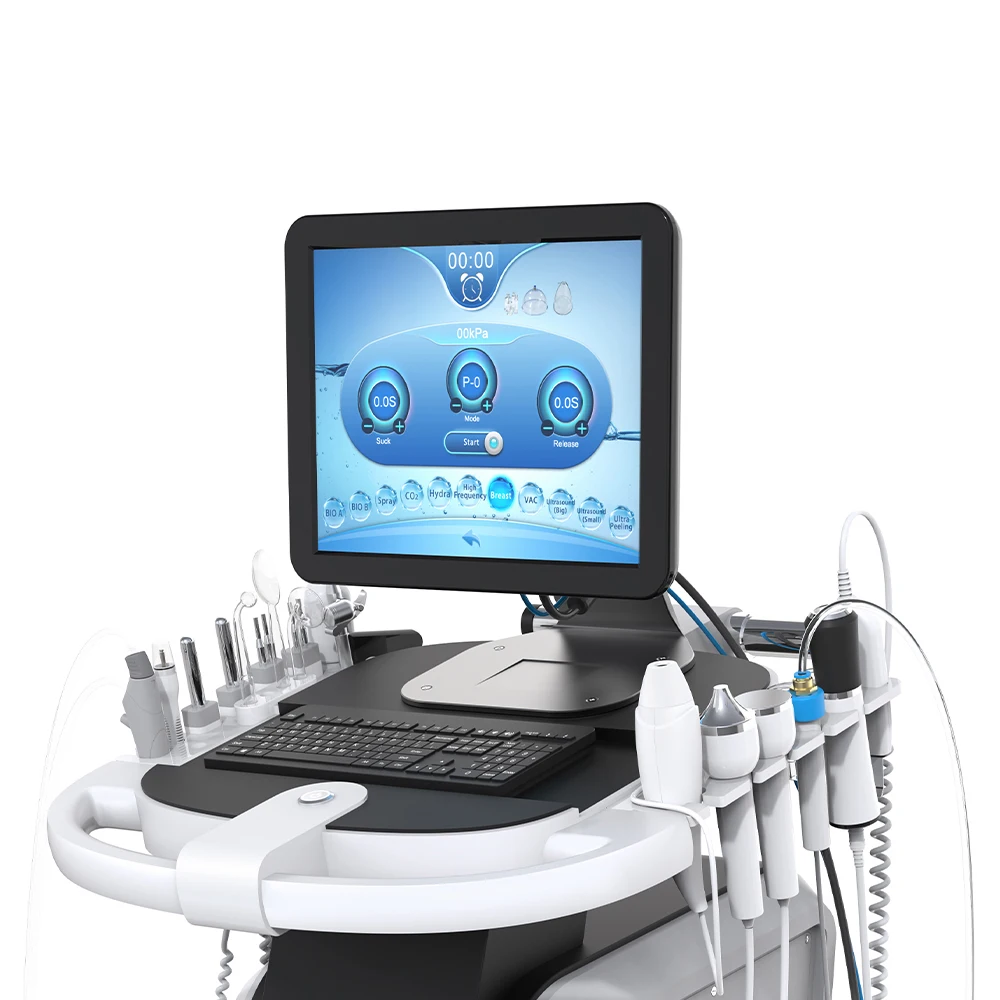 Advanced skin analy sis 15 in 1 function hydro dermabrasion machine/OEM/Customize logo