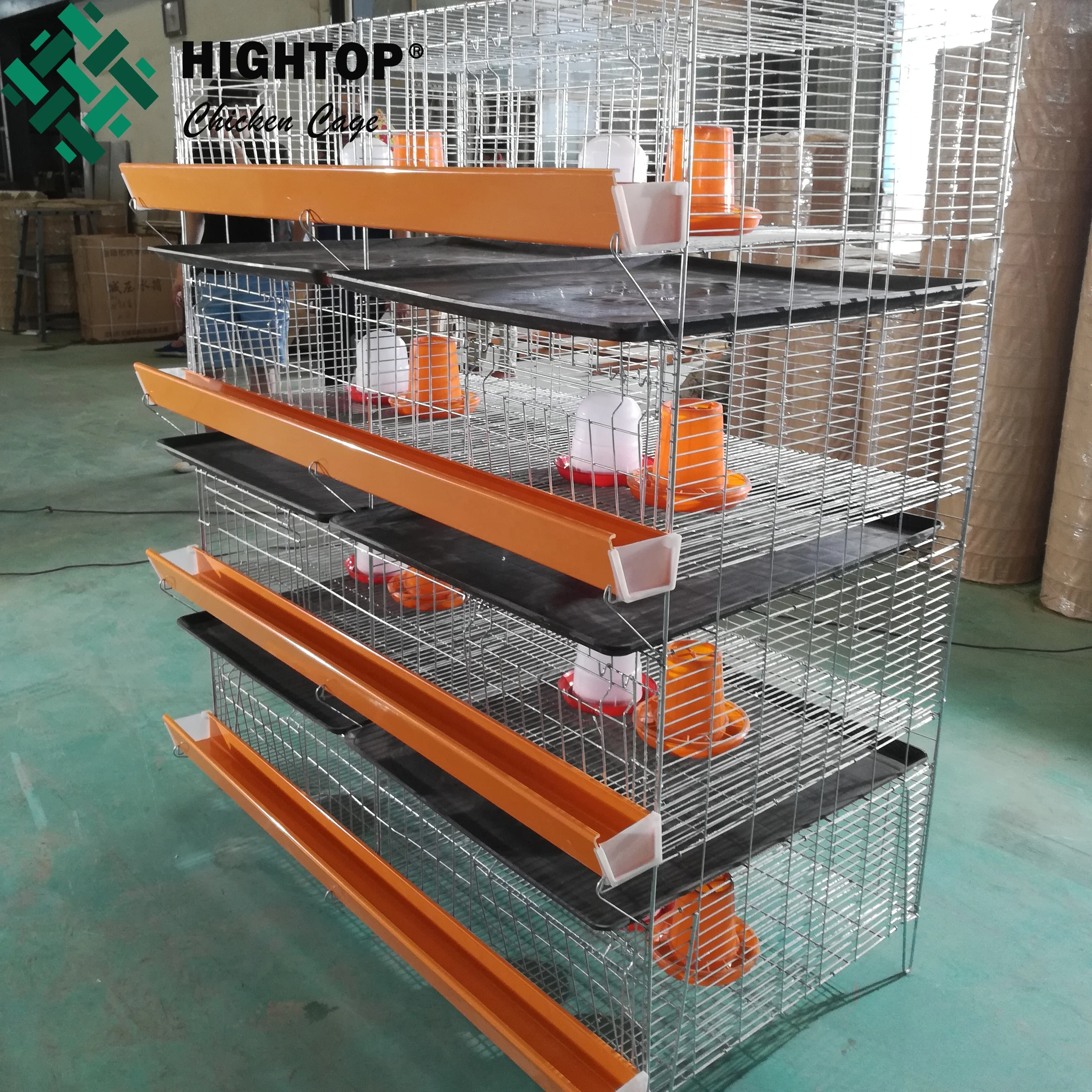 
Китайский дешевый агент соединение H тип 1 день до 40 дней цыпленок клетка 