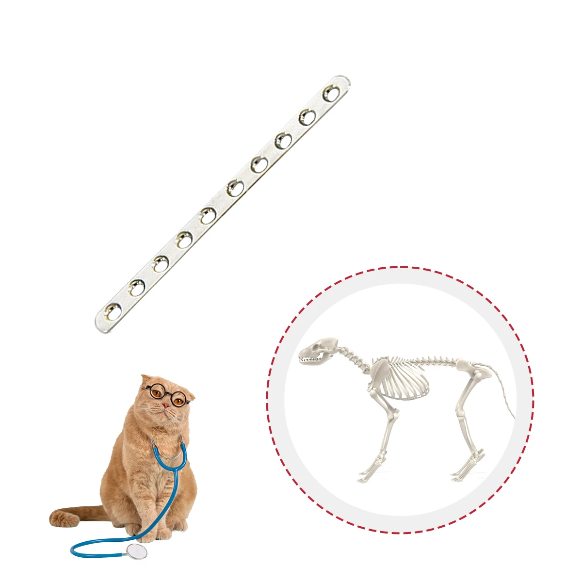 ZMD Pet Bone Implant for Orthopedics 1.0 ALPS Reconstruction Locking Trauma Veterinary Plate