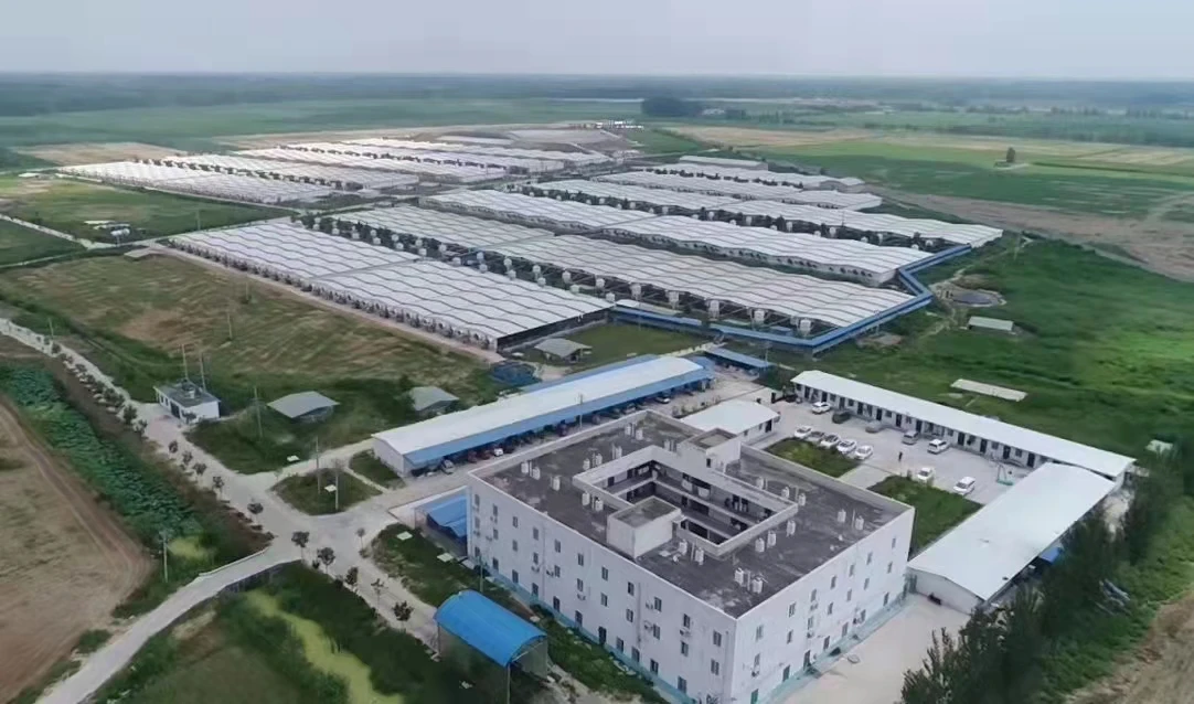 Распродажа готовых стальных конструкций сборные дома контейнерные