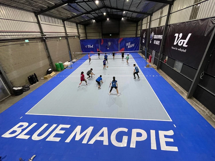 volleyball floor (2)