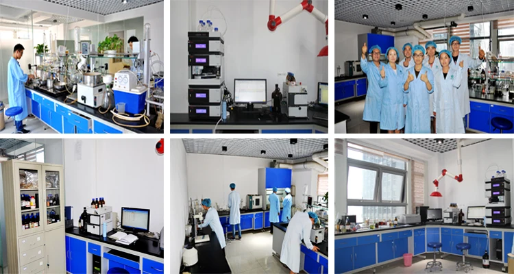 BCI. Factory Supply Sex Enhancer Horny Goat Weed 10% Epimedium Sagittatum Seeds Icariin Powder Epimedium Extract