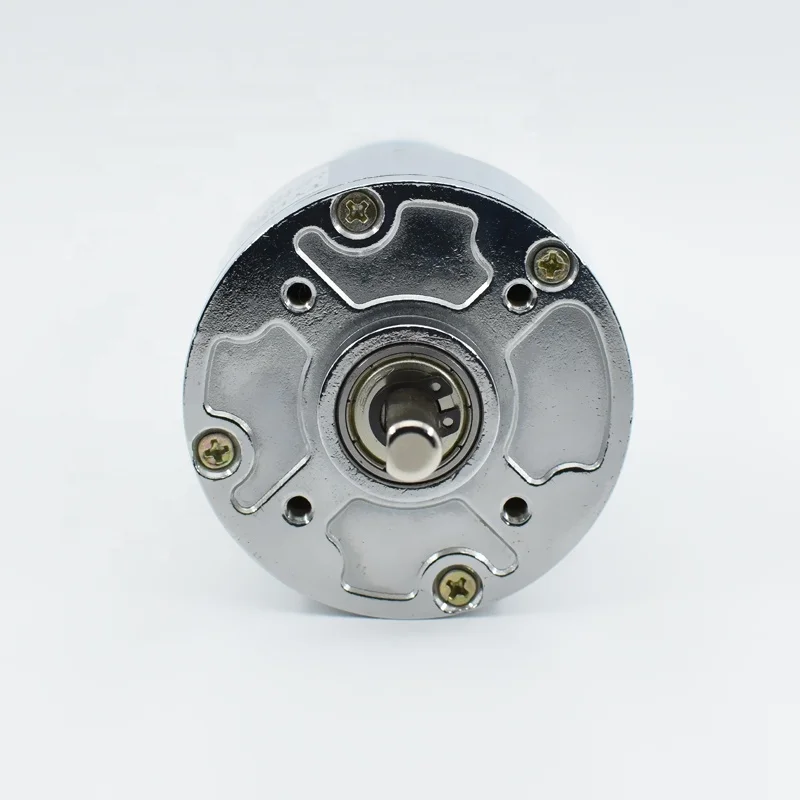 Manufacturer gear motor 60mm 6v 12 volt 24v 50rpm 60rpm rs775 35 watt 30w 20w 10nm 60kg.cm high torque brush dc gear motor