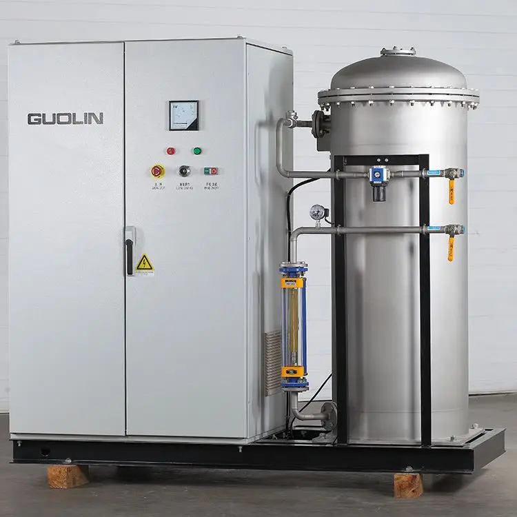 Ozone Water Generator Purifier Water Treat Machine 800g Ozone Generator For Aquariums