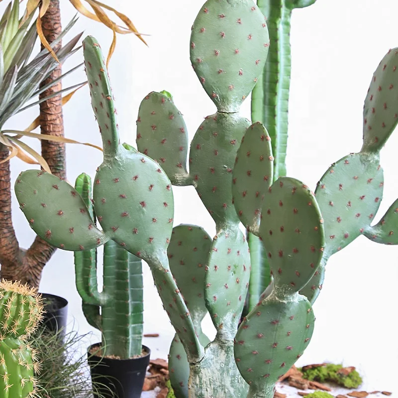 Wholesale Plastic Plantas House Decor Large Artificial Cactus Artificial Bonsai Plant Artificial Plants And Flowers