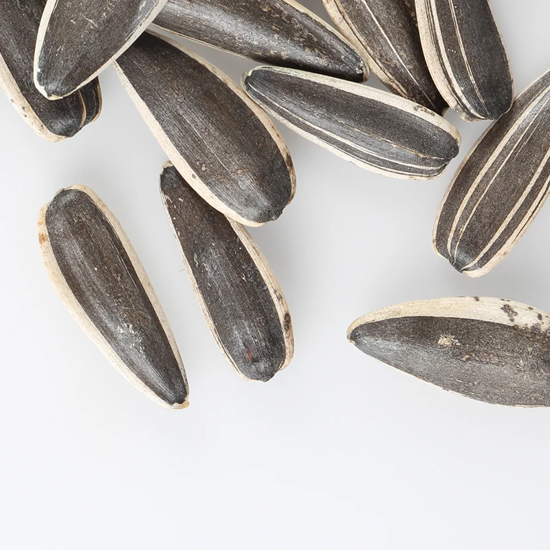 Inner Mongolia Wholesale Chinese Non GMO High Quality Good Price Organic Raw T6/361 Sunflower Kernels Seeds