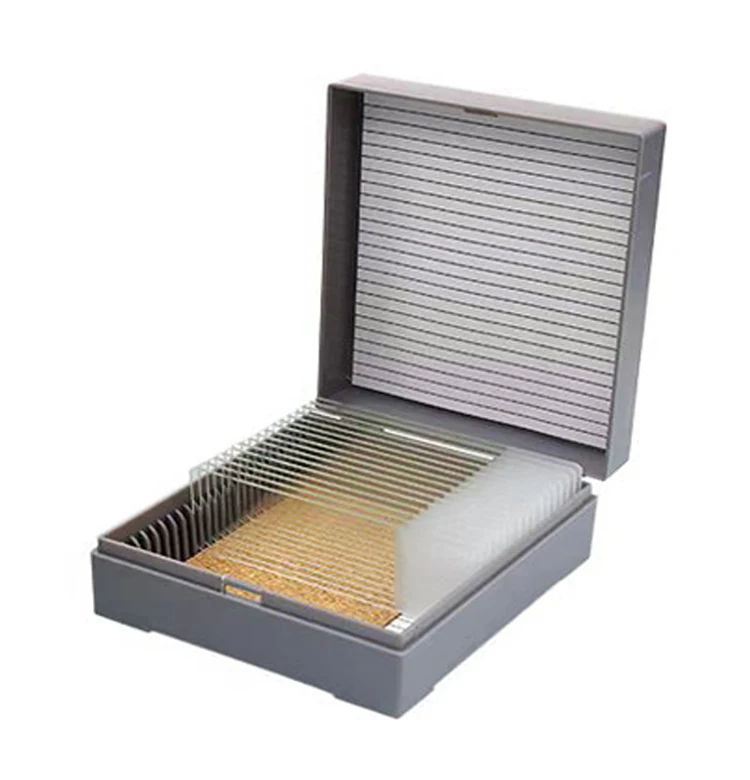 Factory direct sale plastic case 25 microscope slides storage box