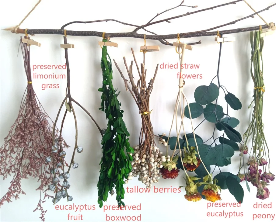 Dried Natural Flower bouquet Palm Leaves, Birch Branches, Bunny tails grass, Yellow Billy Balls,Home Decoration Amazon choice