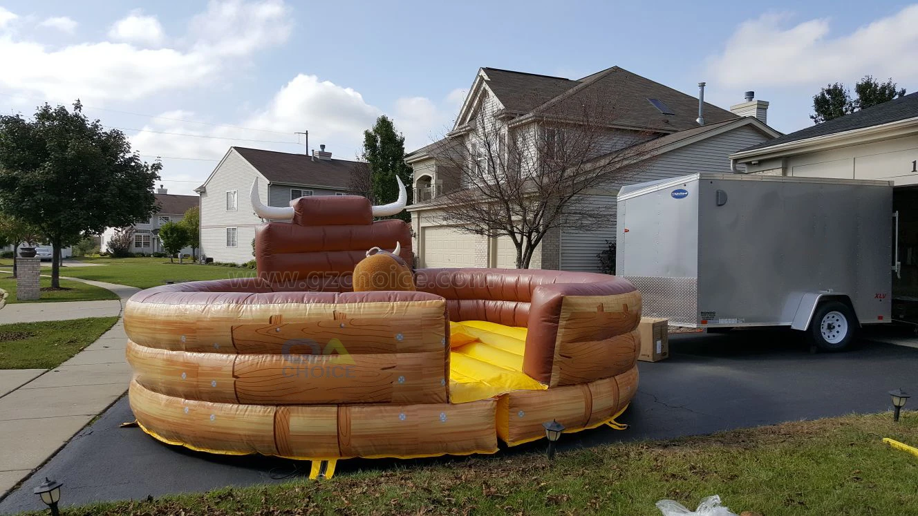 rodeo bull game-1.jpg