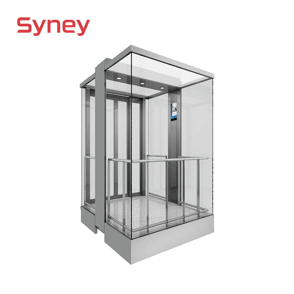 Syney Various Shape Stable Function Competitive Price Residential Panoramic Elevator