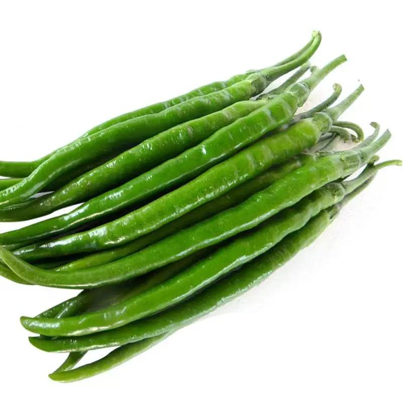 High quality flavoured spicy green line chili (pepper) made in China