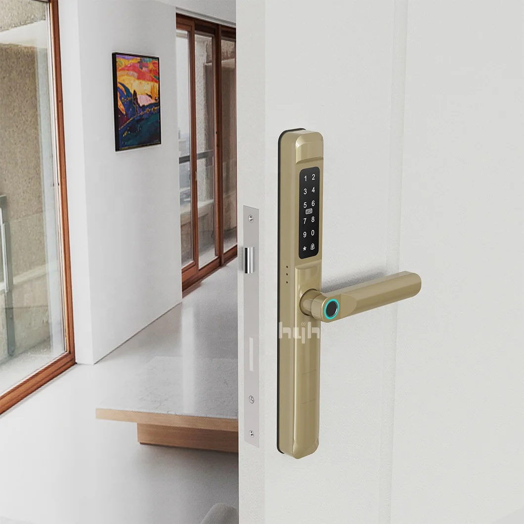 Guangdong-hyh Hardware Factory Price Digital Fingerprint Tuya APP Wifi Smart Lock For Entry Doors