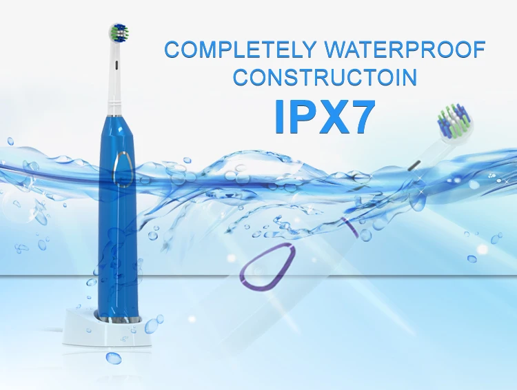 Rotary Rechargeable Electric Toothbrush with Compatible To B Oral