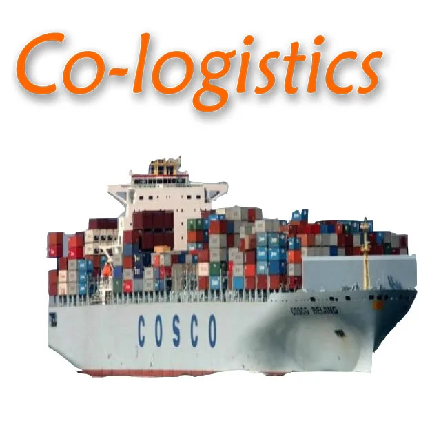 DDP freight forwarder International sea shipping agent door to door from China to USA Greeley