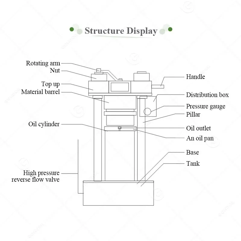 Olive Presse a Huile Mangue Arachide Hydraulique Extruder Cocoa Bean Ground Nut Oil Pressing Extract Machine